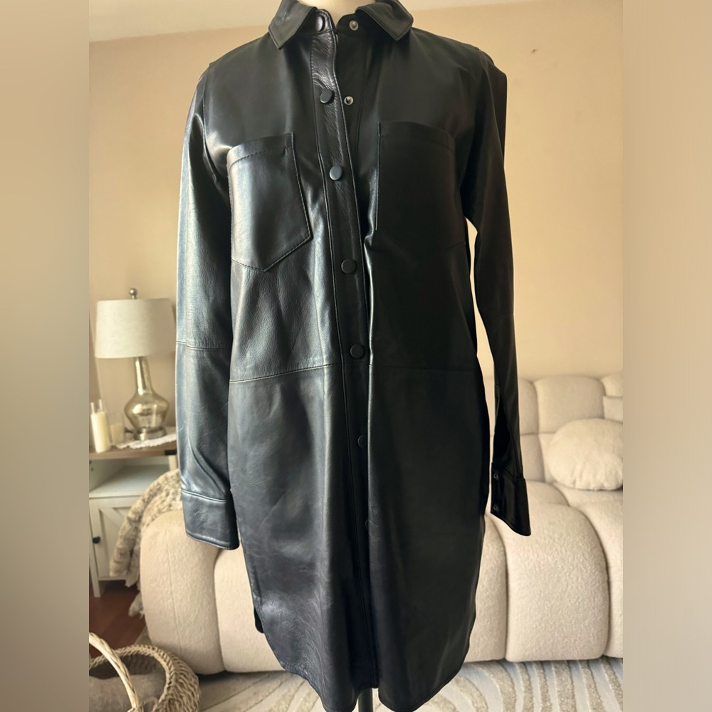 Zara Leather Dress